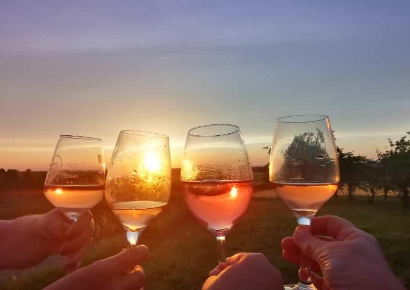 דירות Schwaigern Weingut Will Und Wuerz Lemberger מראה חיצוני תמונה