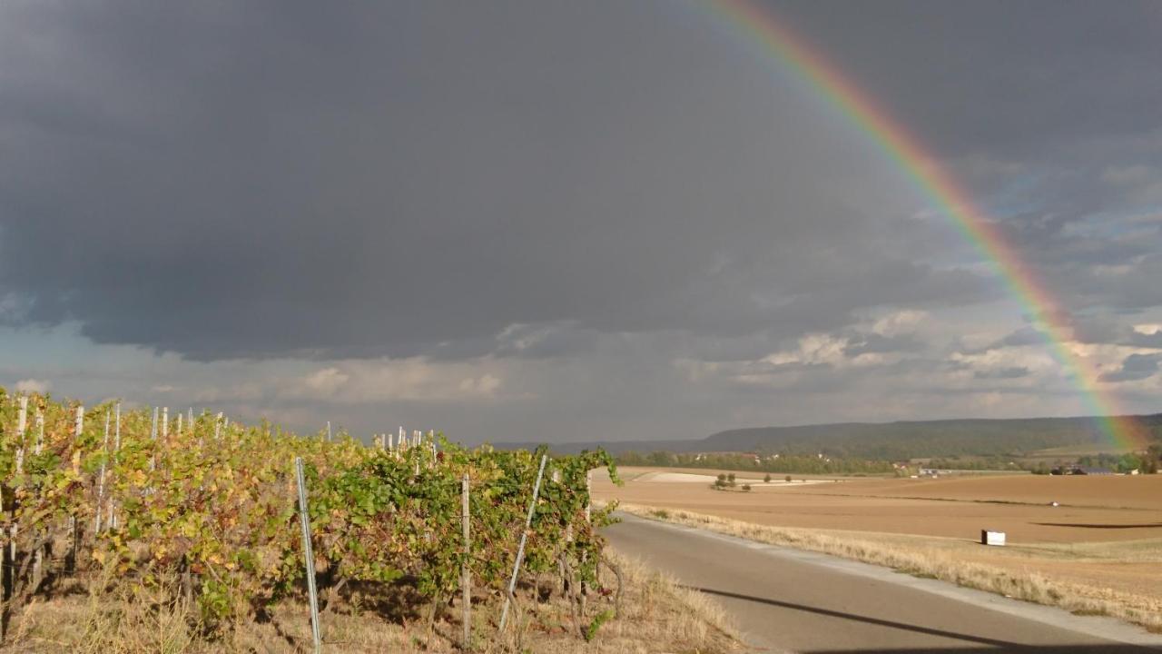 דירות Schwaigern Weingut Will Und Wuerz Lemberger מראה חיצוני תמונה